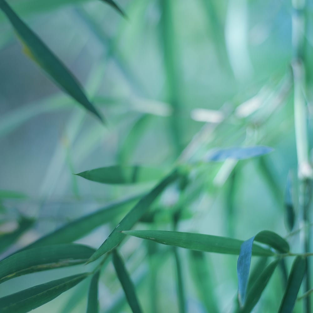 Does head spa treatment help hair growth for men